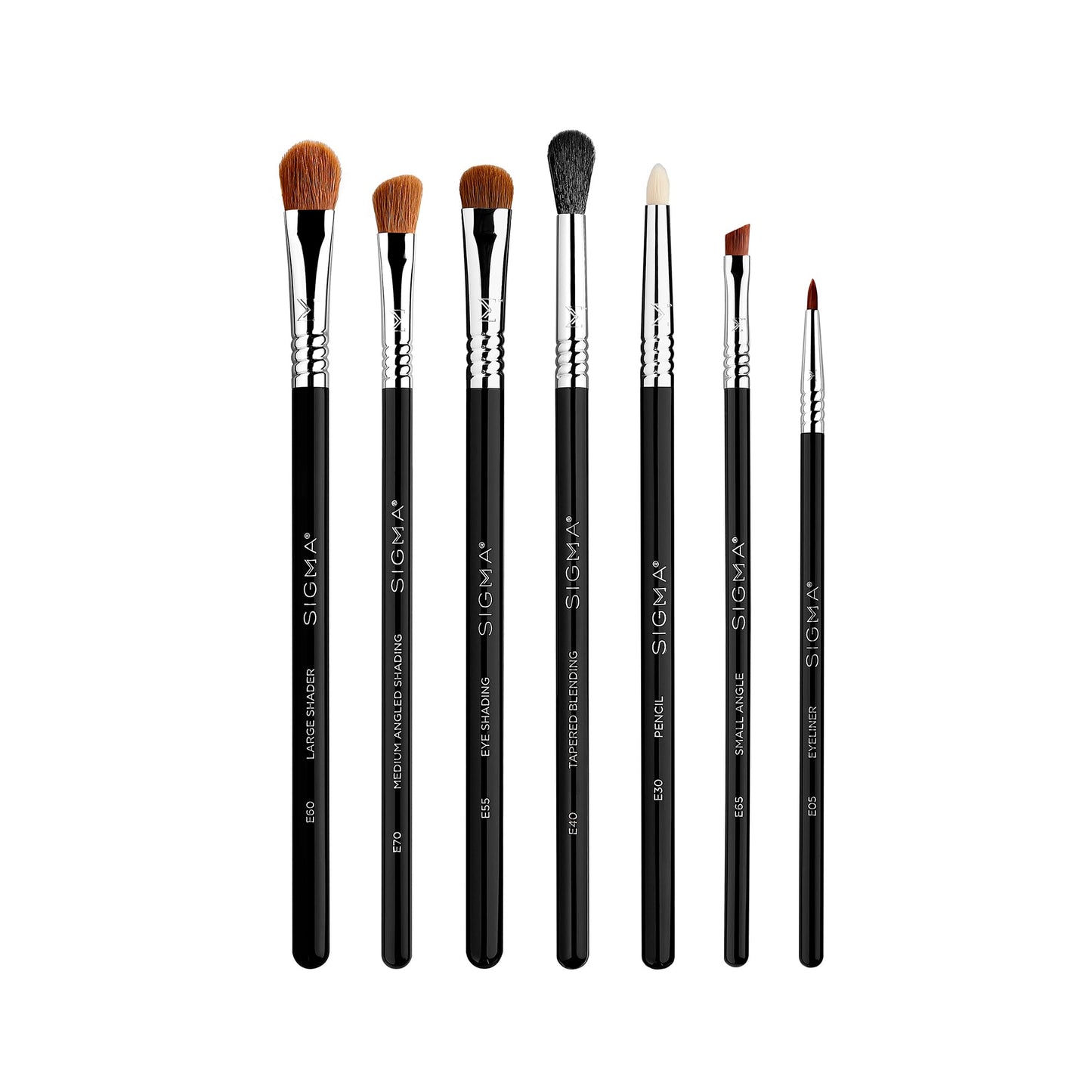 Sigma Beauty Makeup Brush Set – 7-Piece Travel Makeup Brushes for Flawless Application of Foundation Makeup, Blending, Contour, Eyeshadow & Brow Makeup – Compact & Stylish Carrying Case (8 pcs)